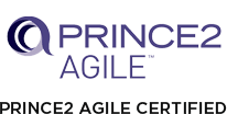 Prince Agile Certified Developers at Albiorix