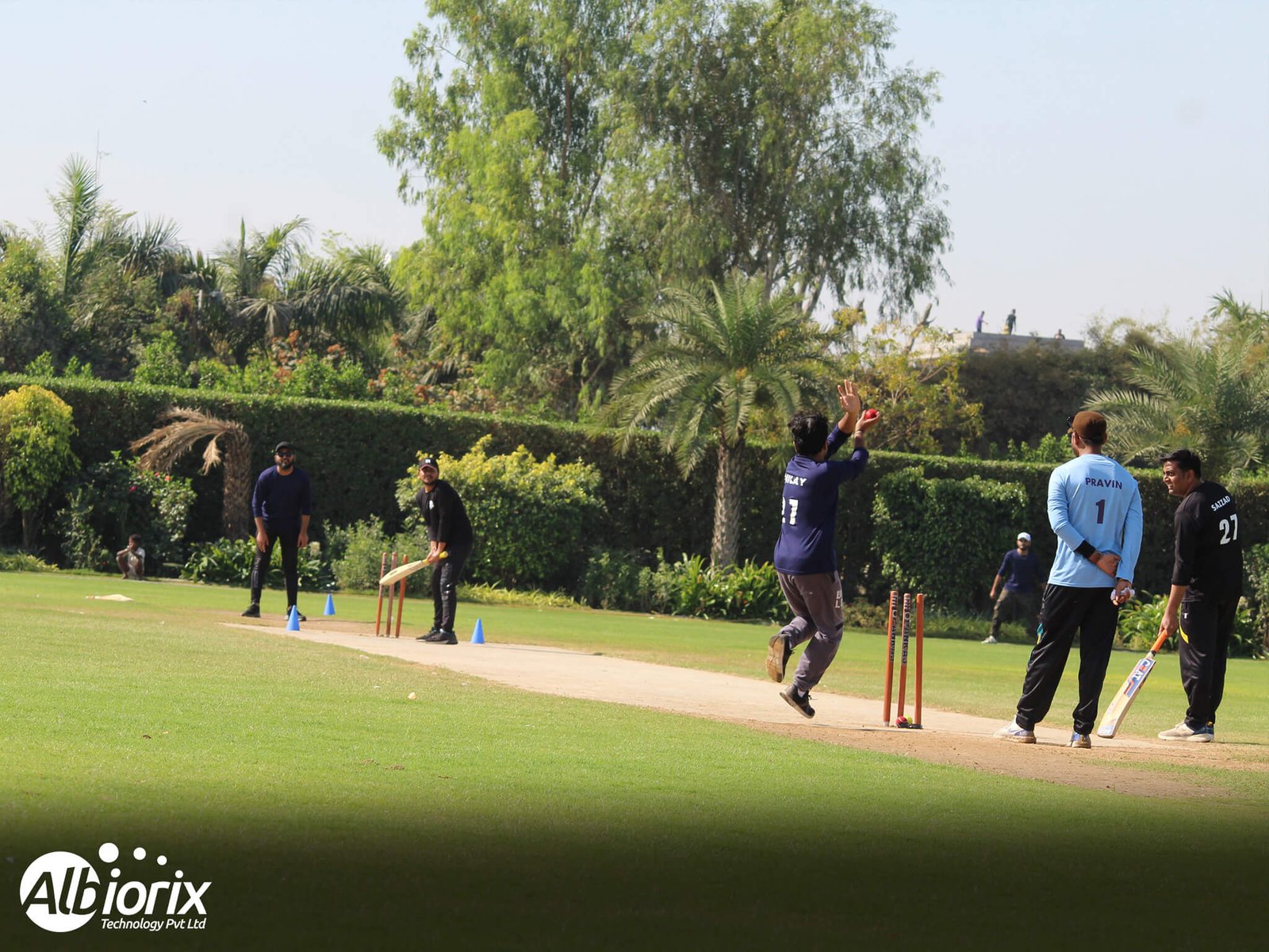 albiorix cricket team playing in league