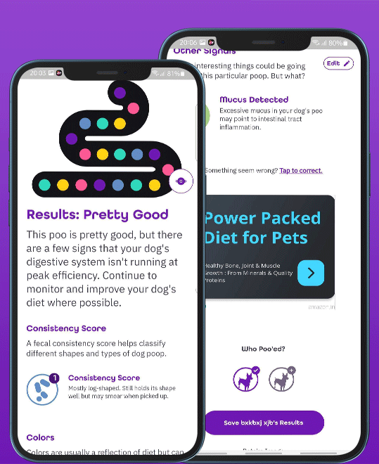 Snappoo Business Challenges