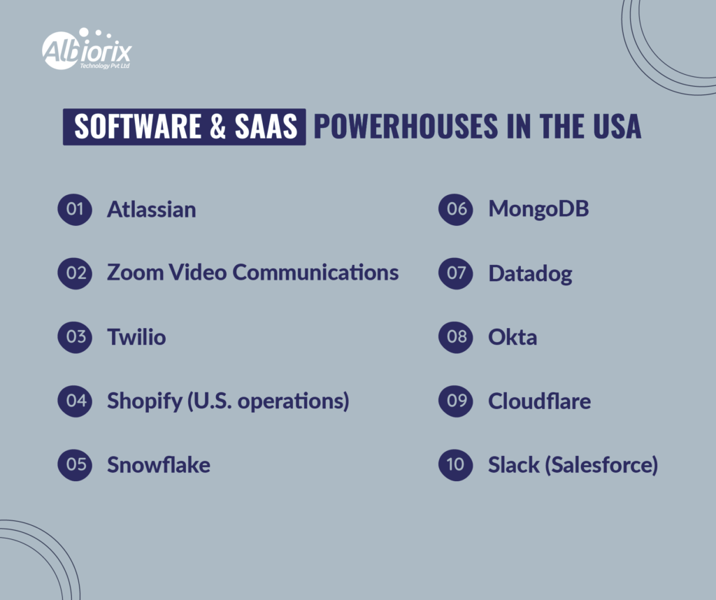 Software SaaS Powerhouses in the USA Software & SaaS Powerhouses in the USA